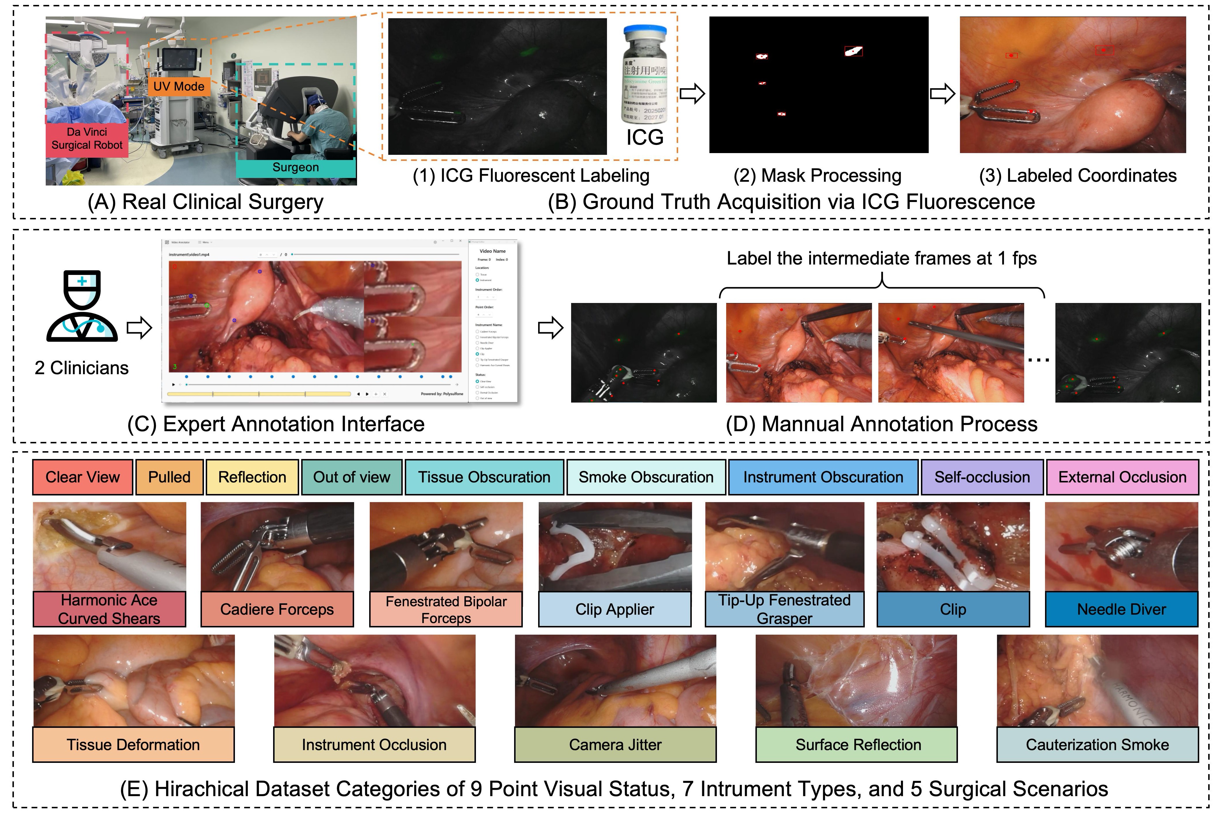 VL-SurgPT collection, annotation, point status, instrument, and scenario taxonomy