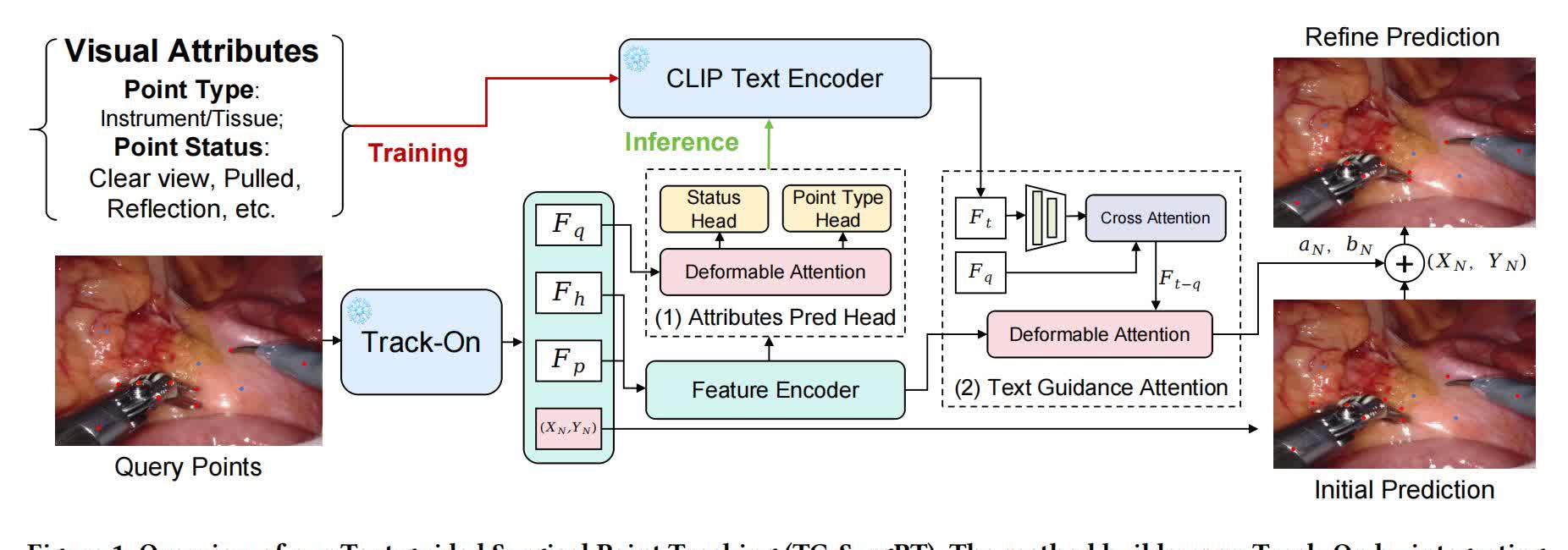 TG-SurgPT architecture with Track-On visual features, a CLIP text encoder, attribute prediction, and text-guided attention